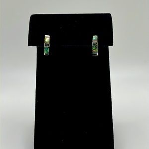 Abalone earrings